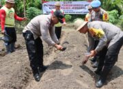 Polres Dan Kodim Jembrana Bersama Forkopimda Bangun Ketahanan Pangan