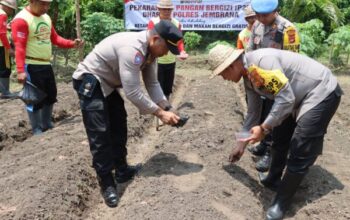 Polres Dan Kodim Jembrana Bersama Forkopimda Bangun Ketahanan Pangan