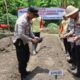 Polres Dan Kodim Jembrana Bersama Forkopimda Tanam Jagung Demi Ketahanan