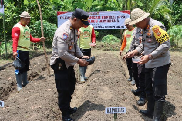 Polres Dan Kodim Jembrana Bersama Forkopimda Tanam Jagung Demi Ketahanan