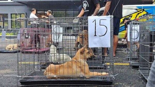 Polresta Banyumas Amankan Pengangkutan Anjing Ilegal Dari Garut