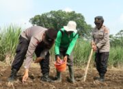 Polresta Malang Kota Gencarkan Dukungan Untuk Swasembada Pangan Nasional