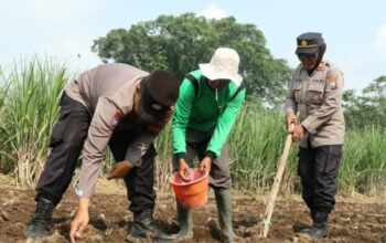 Polresta Malang Kota Gencarkan Dukungan Untuk Swasembada Pangan Nasional