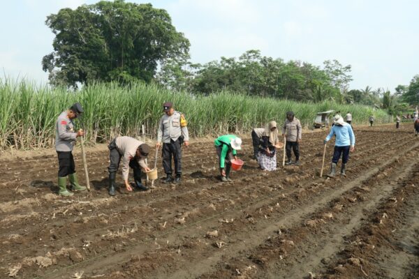 Polresta Malang Kota Sinergi Dengan Pemerintah, Dukung Ketahanan Pangan