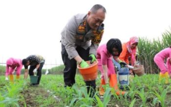 Polresta Malang Kota Terjun Ke Ladang Untuk Program Ketahanan Pangan