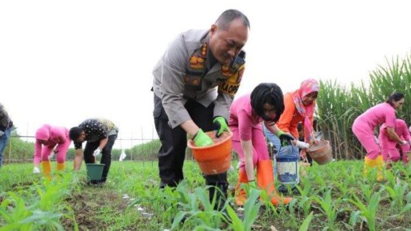 Polresta Malang Kota Terjun Ke Ladang Untuk Program Ketahanan Pangan