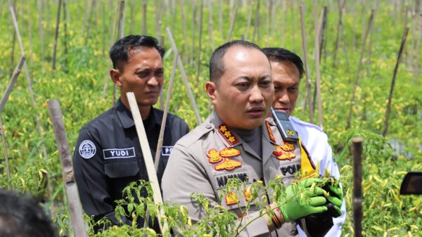 Polresta Malang Kota dan Pemkot Bersatu Maksimalkan Lahan untuk Ketahanan Pangan