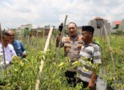 Polresta Malang Kota Dan Pemkot Manfaatkan Lahan Terbatas Untuk Ketahanan