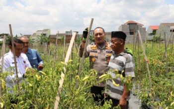 Polresta Malang Kota Dan Pemkot Manfaatkan Lahan Terbatas Untuk Ketahanan