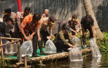 Program Asta Cita: Polresta Banyumas Tanam Jagung Dan Tebar Ribuan