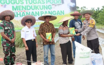 Program Ketahanan Pangan Polres Lamandau: Fokus Pada Penanaman Jagung