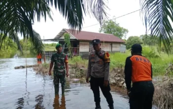 Respons Cepat Bpbd Lamandau Dan Tim Gabungan Di Lokasi Banjir