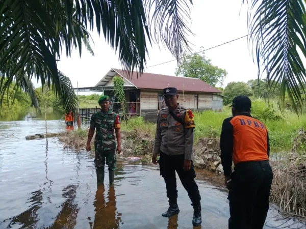 Respons Cepat Bpbd Lamandau Dan Tim Gabungan Di Lokasi Banjir