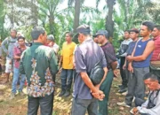 Sengketa Kembali Membara Di Lamandau, Koperasi Desak Penegakan Janji