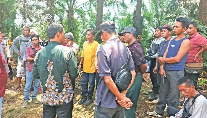 Konflik Lahan Plasma Lamandau Meningkat, Koperasi Desak Tindakan Tegas dari Polisi