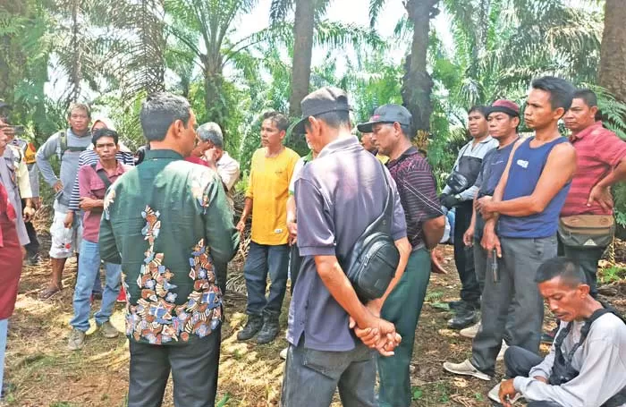 Sengketa Kembali Membara Di Lamandau, Koperasi Desak Penegakan Janji