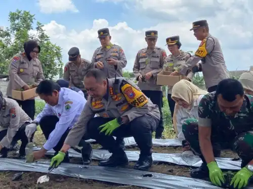 Sinergi Polresta Dan Pemkot Malang: Maksimalkan Lahan Demi Swasembada Pangan