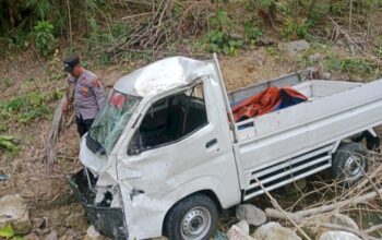 Sopir Ngantuk, Pikap Terjun Bebas Ke Jurang Di Rembang