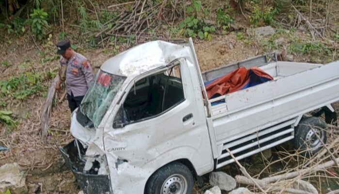 Pikap Terjun ke Jurang di Rembang Akibat Sopir Ngantuk