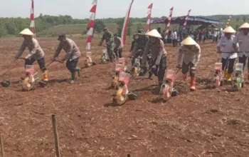 Sukoharjo Tingkatkan Pertanian Demi Wujudkan Menu Makan Bergizi Gratis