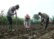 Tanam Cabai Dan Jagung, Polresta Malang Kota Ambil Bagian Dalam