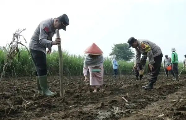 Tanam Cabai Dan Jagung, Polresta Malang Kota Ambil Bagian Dalam