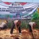 Tanam Sayur, Jagung, Dan Pisang, Polres Batang Dorong Ketahanan Pangan