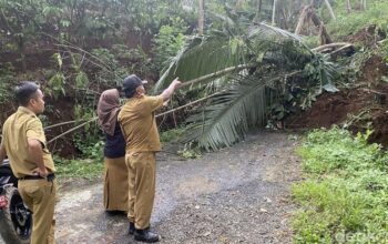 Tebing Ambruk Di Banjarnegara, Akses Transportasi Dua Kecamatan Terhambat