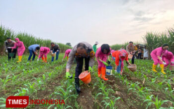 Untuk Perkuat Ketahanan Pangan, Kapolresta Malang Kota Inisiasi Program Tanam