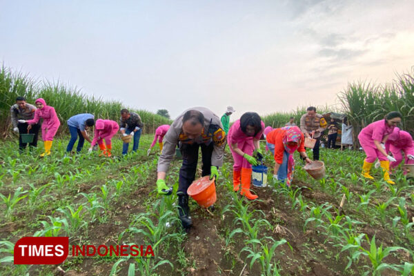 Untuk Perkuat Ketahanan Pangan, Kapolresta Malang Kota Inisiasi Program Tanam