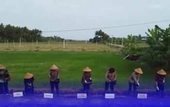 Video: Rekrutmen Khusus Polri Di Sektor Pertanian Dan Kesehatan Upaya