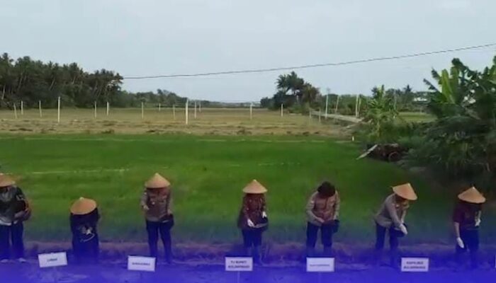 VIDEO: Rekrutmen Khusus Polri di Sektor Pertanian dan Kesehatan Upaya Perkuat Swasembada Pangan