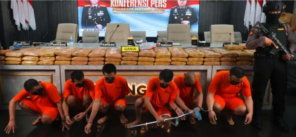 166,58 Kg Ganja Disita Di Malang, Polresta Tangkap Para Pelaku