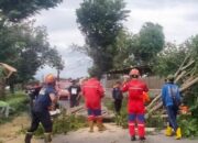 Akses Jalan Klaten Tertutup Pohon Tumbang Akibat Angin Kencang