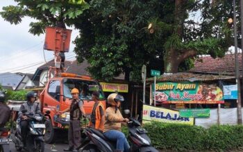 Antisipasi Pohon Tumbang, Satpol Pp Dan Damkar Banyumas Pangkas Ranting