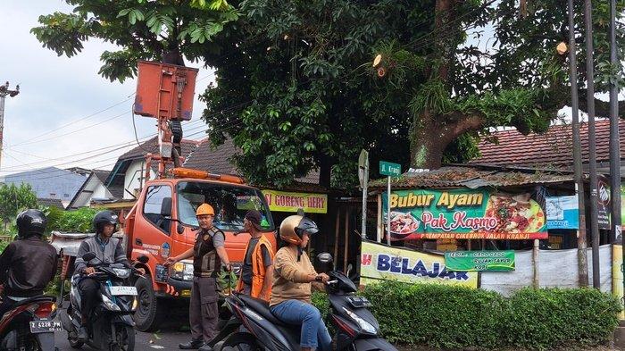 Antisipasi Pohon Tumbang, Satpol Pp Dan Damkar Banyumas Pangkas Ranting