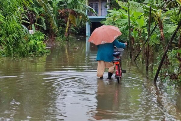 Banjir Parah Di Cilacap, Ribuan Jiwa Kena Dampak: Ini Faktornya