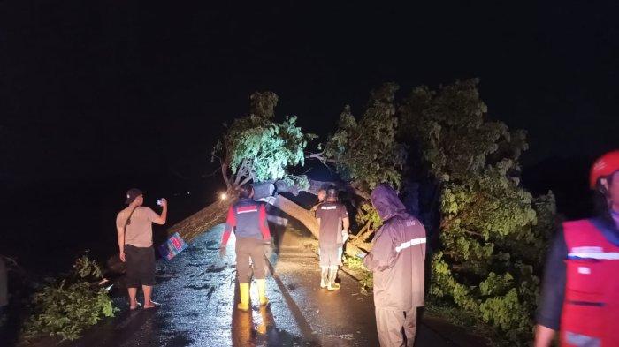 Banyumas Dilanda Cuaca Ekstrem, Pohon Tumbang Akibat Angin Kencang