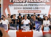 Bareskrim Polri : Gagalkan Penyelundupan 151 Ribu Benih Lobster Di