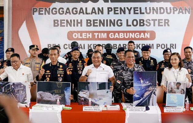 Bareskrim Polri : Gagalkan Penyelundupan 151 Ribu Benih Lobster di Perairan Bintan