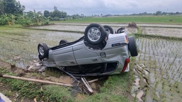 Belum Mahir Mengemudi, Mobil Terbalik Di Area Persawahan Boyolali