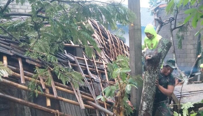 Bencana Angin Lisus di Karanglo Klaten, Warga Alami Kerugian