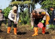 Polresta Malang Kota Tanam Jagung Varietas Unggul Dukung Program Lumbung Pangan