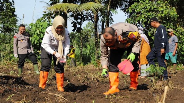 Dukung Lumbung Pangan, Polresta Malang Kota Tanam Jagung Berkualitas