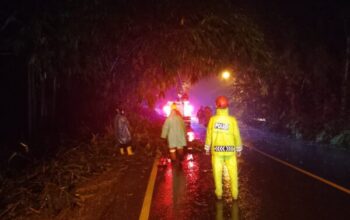 Gangguan Lalu Lintas Di Sigaluh Akibat Pohon Bambu Tumbang, Polisi