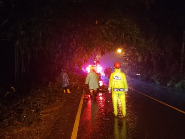 Gangguan Lalu Lintas Di Sigaluh Akibat Pohon Bambu Tumbang, Polisi