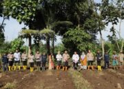 Gerakan Food Estate, Polresta Malang Kota Fokus Pada Jagung Unggul