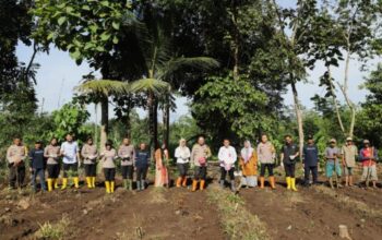 Gerakan Food Estate, Polresta Malang Kota Fokus Pada Jagung Unggul