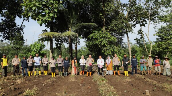 Jagung Unggul Jadi Andalan Polresta Malang Kota Tingkatkan Ketahanan Pangan