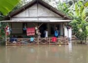 Hujan Lebat Tiga Hari, Empat Desa Di Banyumas Alami Banjir